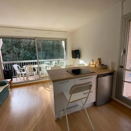 Avec Terrasse & Parking Securise - Fr-1-374-243 公寓