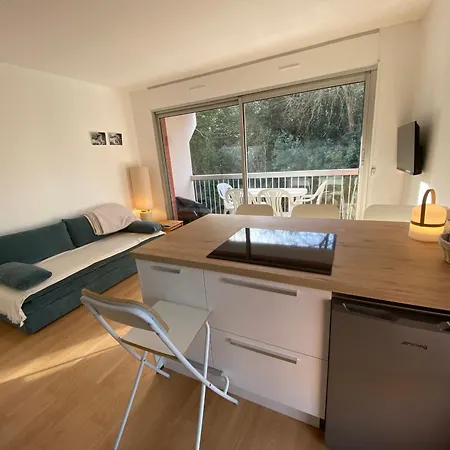 Avec Terrasse & Parking Securise - Fr-1-374-243 公寓