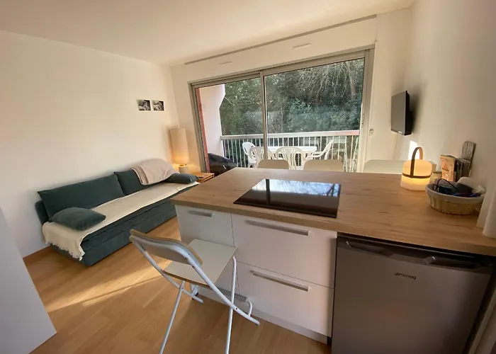 Avec Terrasse & Parking Securise - Fr-1-374-243 公寓